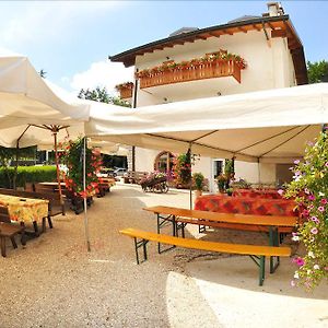 Albergo Nido Verde